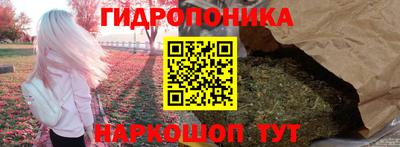 молекула духа Краснодар