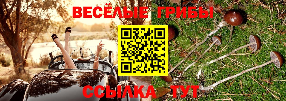 Псилоцибиновые грибы прущие грибы Усолье-Сибирское