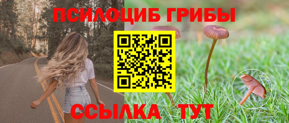 Галлюциногенные грибы Cubensis  Галлюциногенные грибы Psilocybe  Усолье-Сибирское  Вход с VPN 